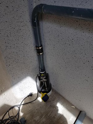 20170728_140215.JPG