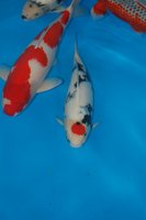 DSC_6776b.jpg