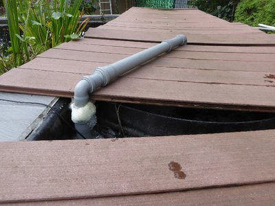 Schaum1100711.JPG
