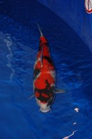 DSC_6829b.jpg