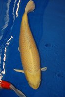 DSC_6841b.jpg