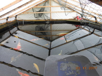 DSCN0767.JPG
