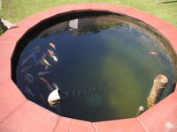 k-DSC_5490.JPG