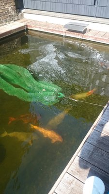 2018080816093400.jpg