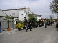 IMGP0840.JPG