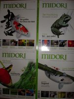 Midori2007.jpg