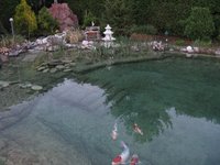 IMG_1964 (Kopie).JPG