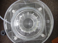 DSC05425.JPG