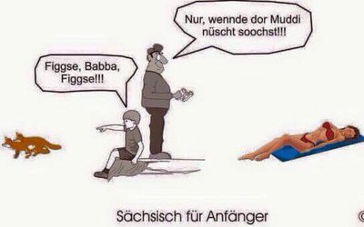 Saechsich_fuer_Anfaenger.jpg