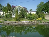 IMG_0135.jpg