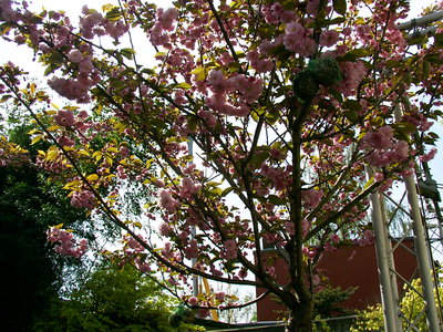 IMAG0307.JPG