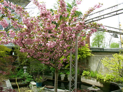 IMAG0310.JPG