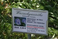 DSC00677b.jpg