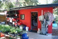 DSC00675b.jpg