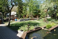 DSC00639b.jpg
