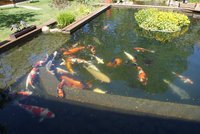 DSC00622b.jpg