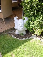 IMGP0967.JPG