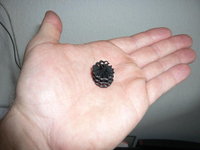 helx hand klerin.jpg