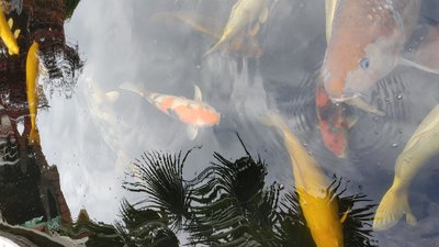 20240605_101458.jpg