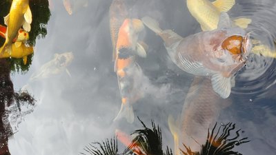 20240605_101502.jpg