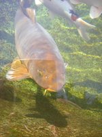 IMGP0905.JPG