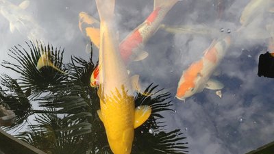 20240605_101514.jpg