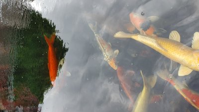 20240605_101541.jpg