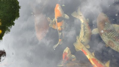 20240605_101617.jpg