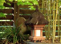 DSC09127_web.jpg