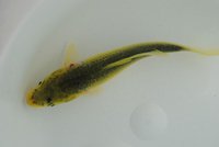 k-DSC_5453.JPG