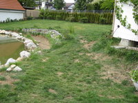 teich2.JPG
