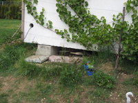 teich3.JPG