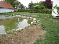 teich4.JPG