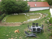 teich6.JPG