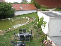 teich7.JPG