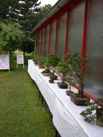 IMGP1003.JPG