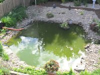 garten2010_088_2.jpg