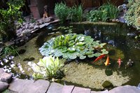 2011 06 09 026.jpg