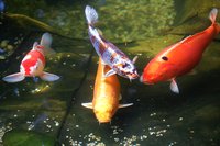 2011 06 09 020.jpg