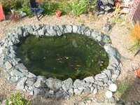 teich.jpg