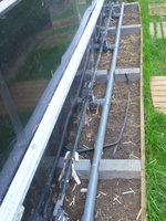 Koibecken 092.JPG