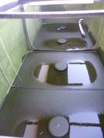 Koibecken 091.JPG
