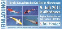 auktion 2011-1.jpg