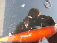 K640_Kohaku 005.JPG