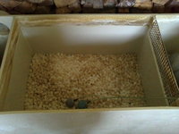 30062011251.JPG
