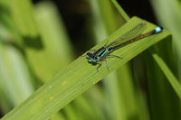 IMG_3652.jpg