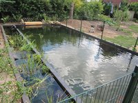 IMG_1548.JPG