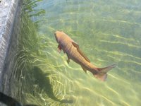 IMG_1544.JPG