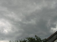 IMG_1078.JPG