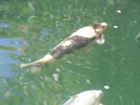 100_4665.JPG